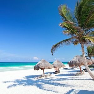 Meet your Posher, Carrie